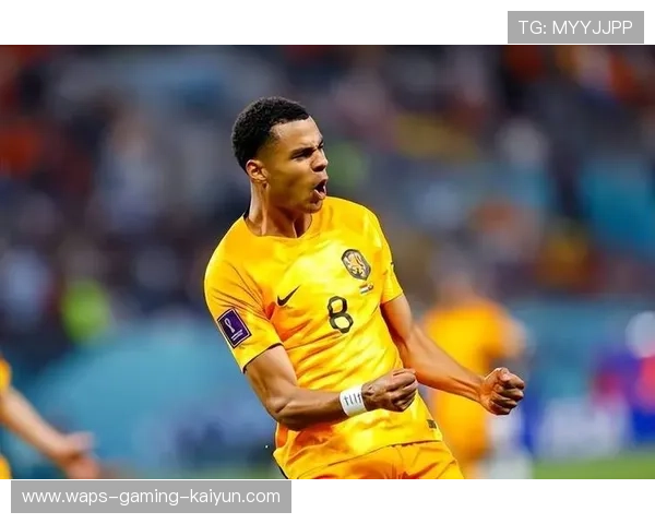 荷甲菲耶诺德年轻前锋凌空爆射震撼观众